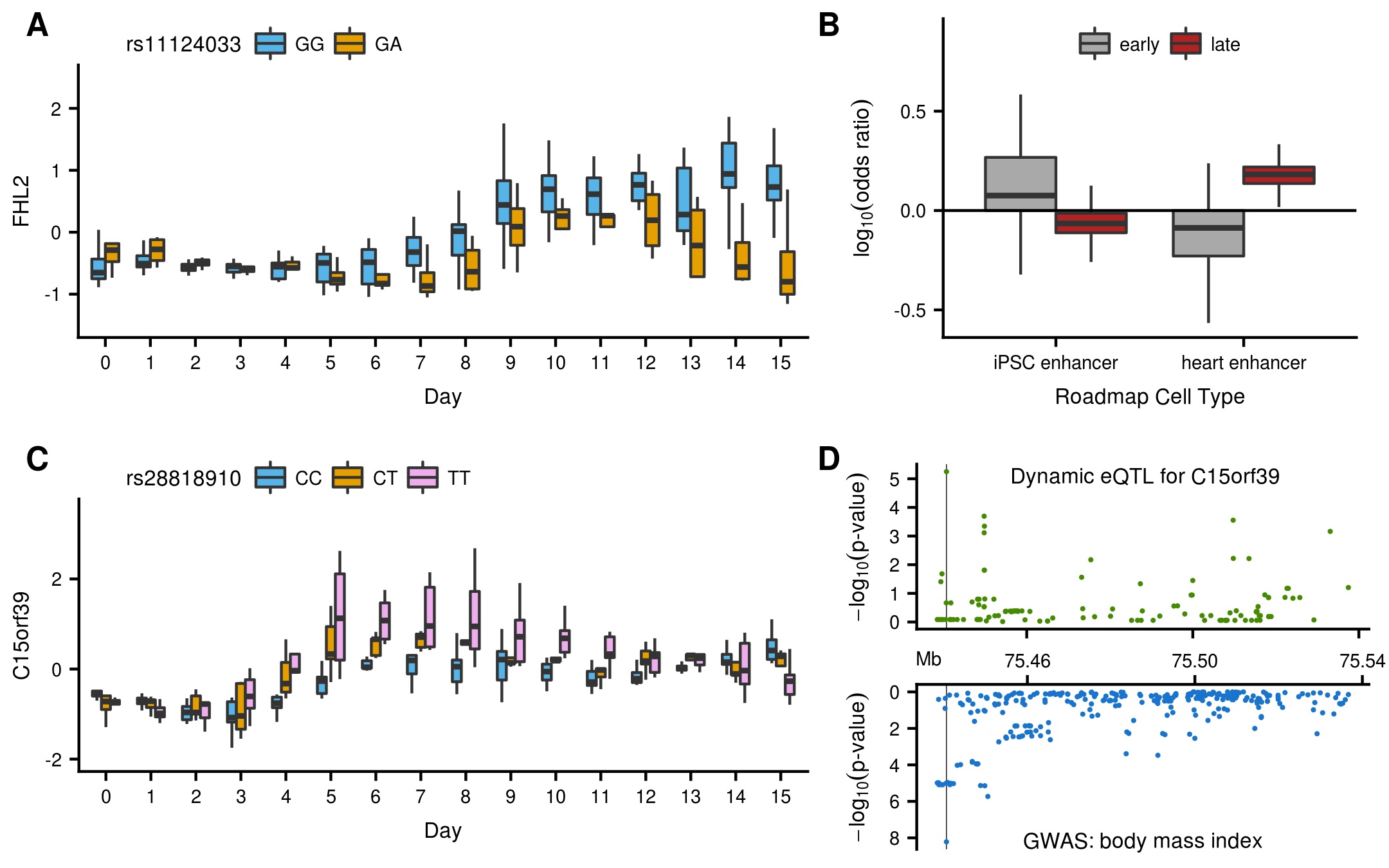 Dynamic genetic regulation of gene expression during cellular differentiation
