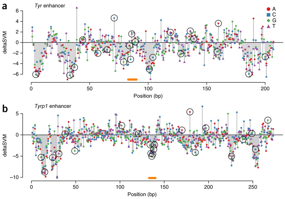 A method to predict the impact of regulatory variants from DNA sequence