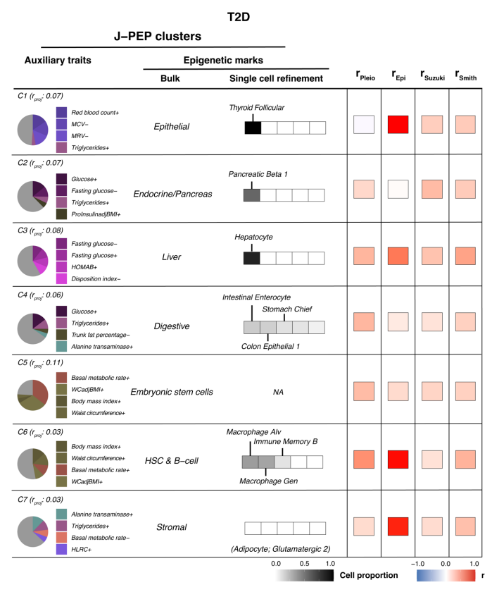 Mapping disease loci to biological processes via joint pleiotropic and epigenomic partitioning