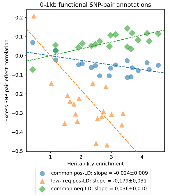 Pervasive correlations between causal disease effects of proximal SNPs vary with functional annotations and implicate stabilizing selection