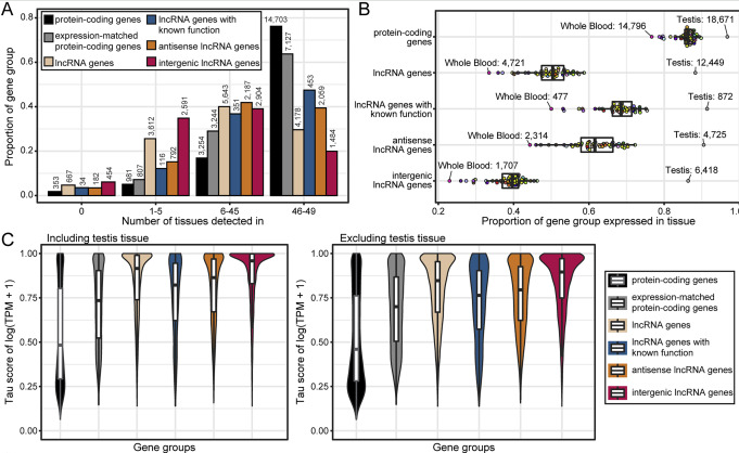 Population-scale tissue transcriptomics maps long non-coding RNAs to complex disease