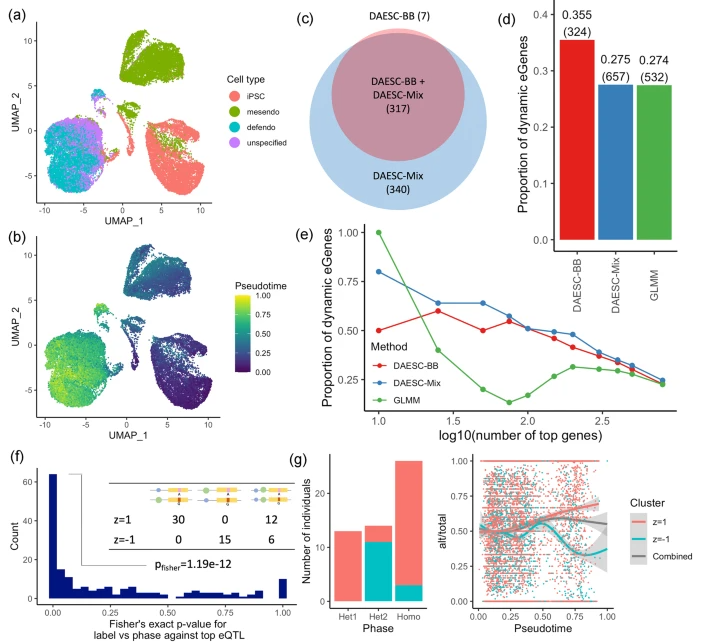 Single-cell allele-specific expression analysis reveals dynamic and cell-type-specific regulatory effects