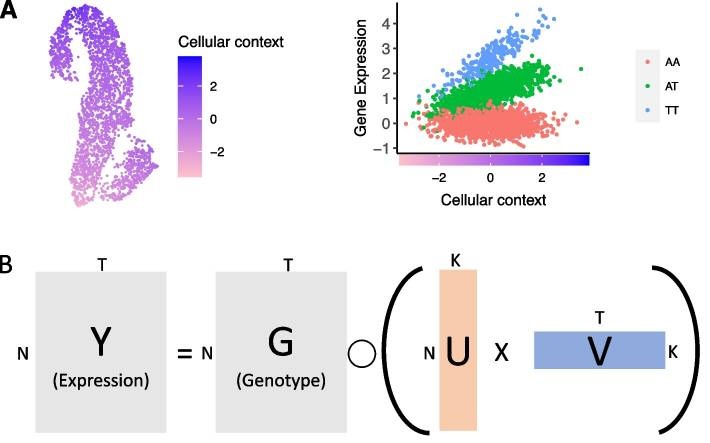 SURGE: uncovering context-specific genetic-regulation of gene expression from single-cell RNA sequencing using latent-factor models