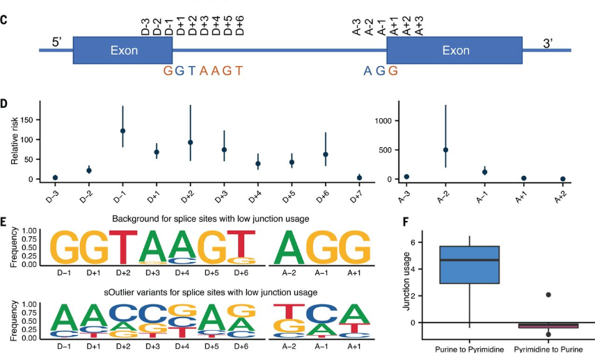 Transcriptomic signatures across human tissues identify functional rare genetic variation